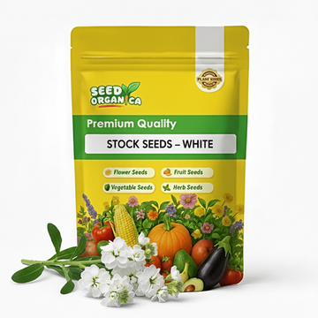 Stock Seeds – White