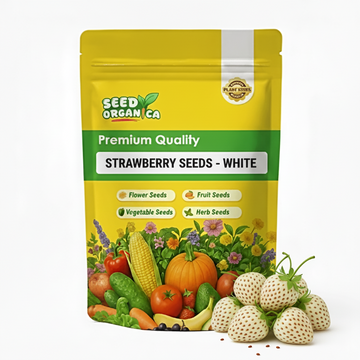 Strawberry Seeds - White