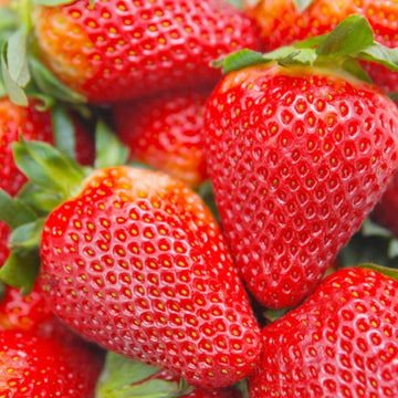 Strawberry Seeds – Cream