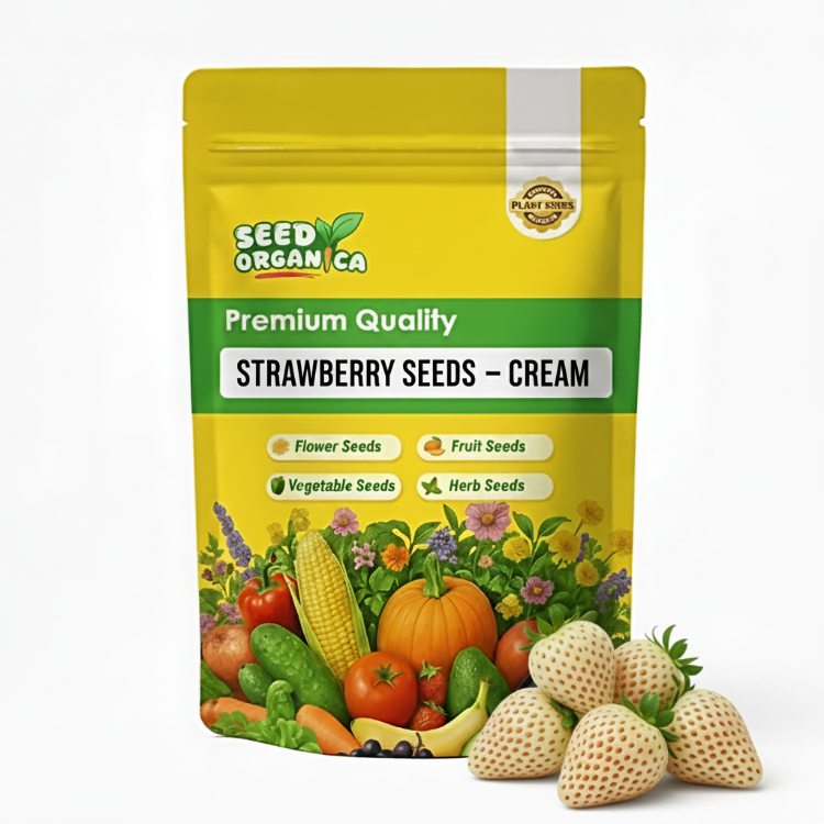 Strawberry Seeds – Cream