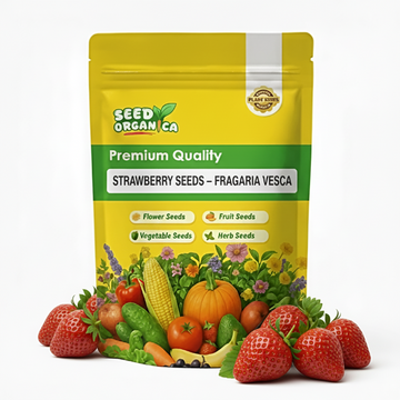 Strawberry Seeds – Fragaria vesca
