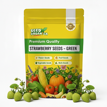 Strawberry Seeds – Green
