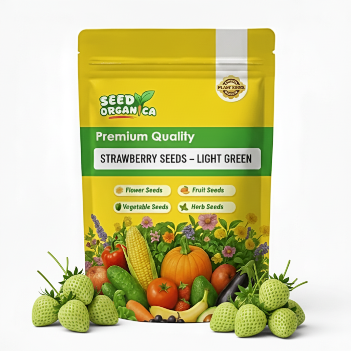Strawberry Seeds – Light Green