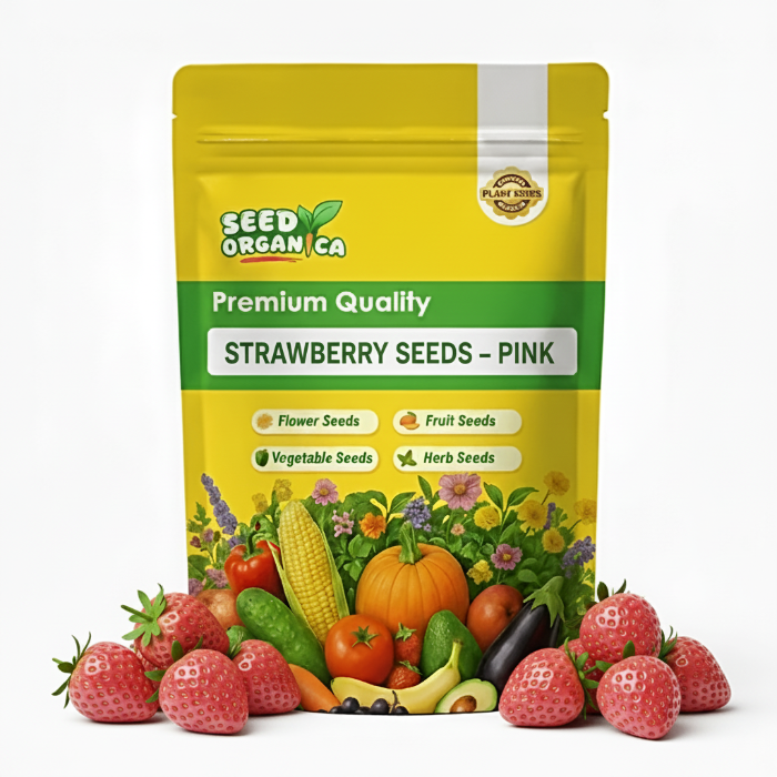 Strawberry Seeds – Pink