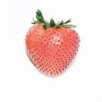 Strawberry Seeds – Rosy Pink