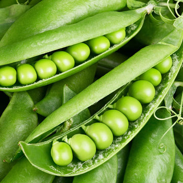Sugar Ann Snap Pea Seeds - Vegetable Plant