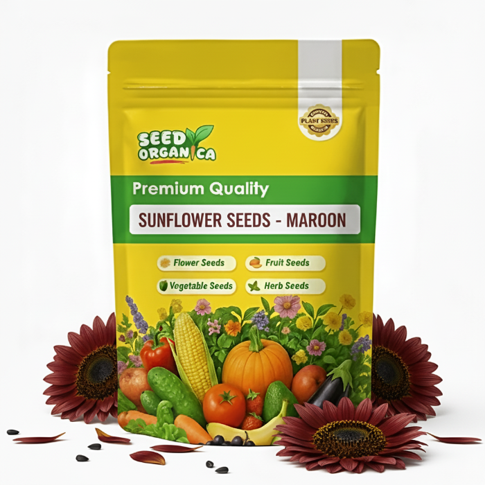 Sunflower Seeds - Maroon