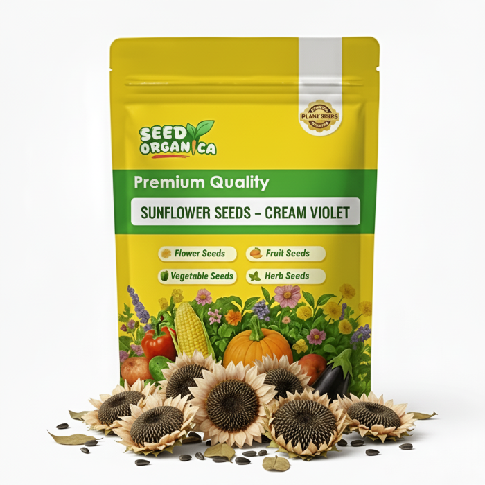 Sunflower Seeds – Cream Violet