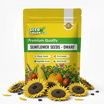 Sunflower Seeds – Dwarf