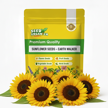 Sunflower Seeds – Earth Walker