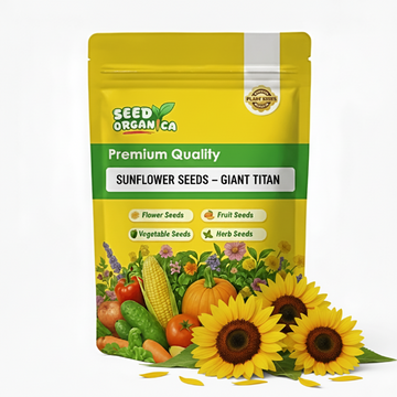 Sunflower Seeds – Giant Titan
