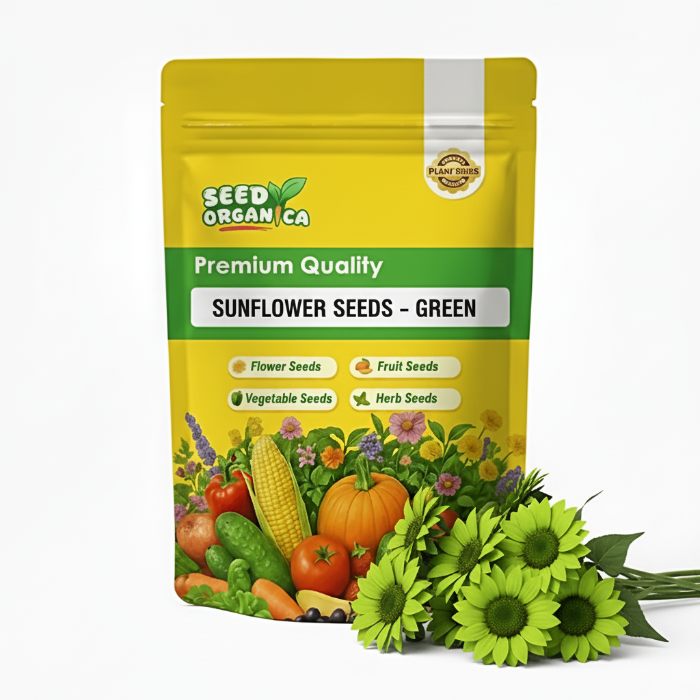 Sunflower Seeds – Green