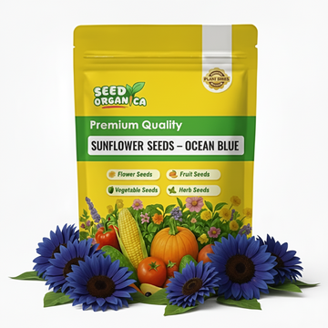 Sunflower Seeds – Ocean Blue