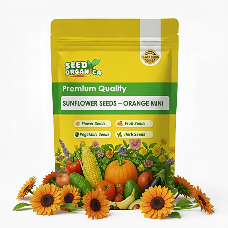 Sunflower Seeds – Orange Mini
