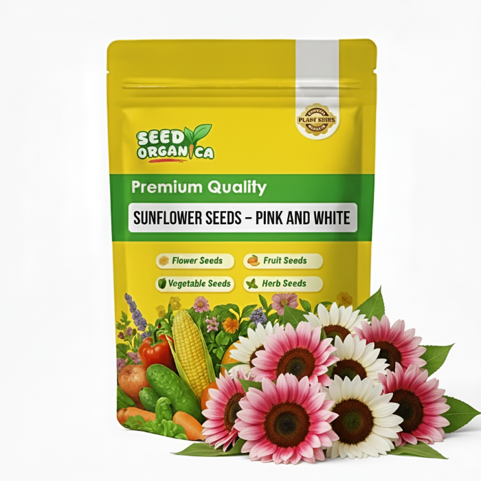 Sunflower Seeds – Pink and White