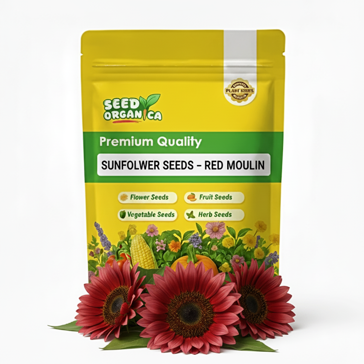 Sunflower Seeds – Red Moulin