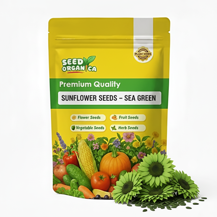 Sunflower Seeds – Sea Green