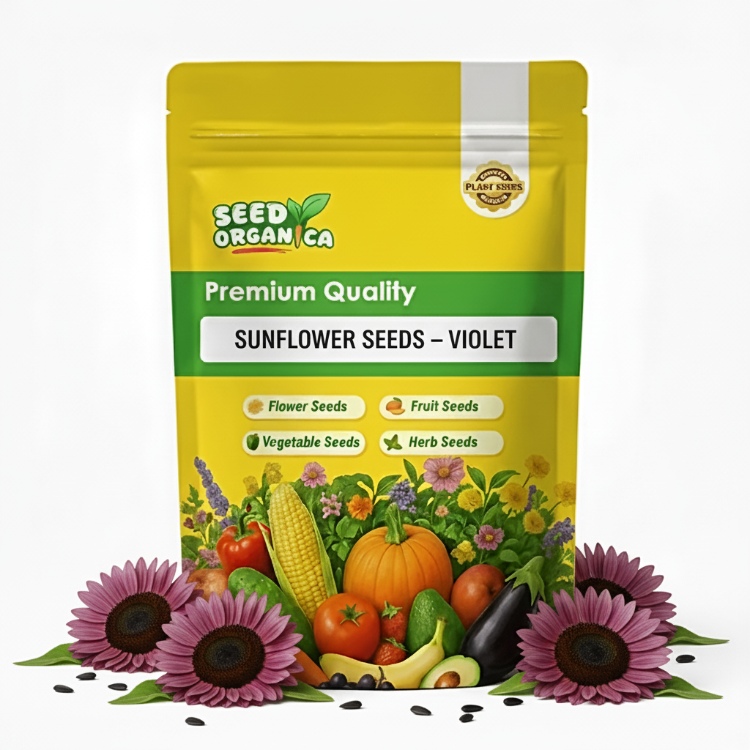 Sunflower Seeds – Violet