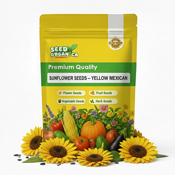 Sunflower Seeds – Yellow Mexican