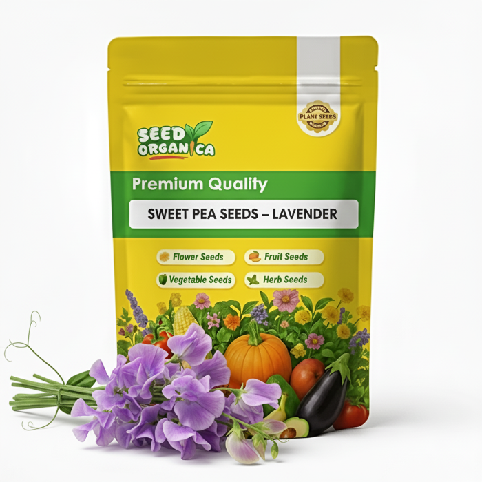 Sweet Pea Seeds – Lavender