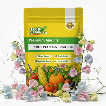 Sweet Pea Seeds – Pink Blue