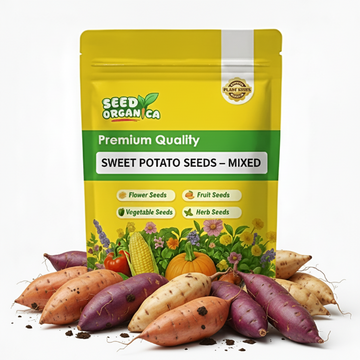 Sweet Potato Seeds – Mixed