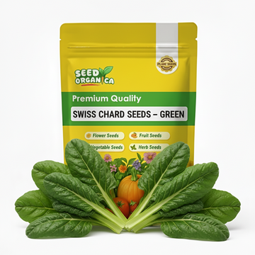Swiss Chard Seeds – Green