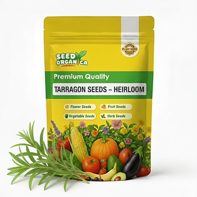 Tarragon Seeds – Heirloom