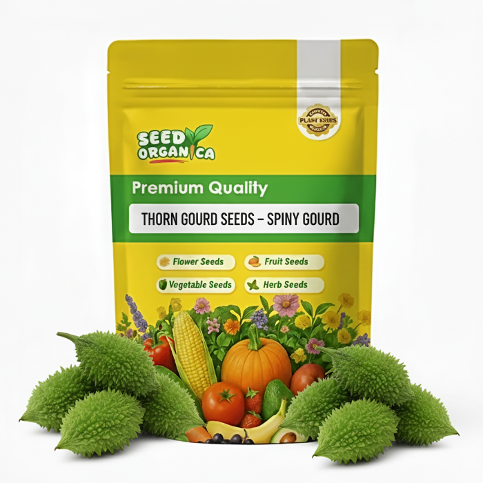 Thorn Gourd Seeds – Spiny Gourd