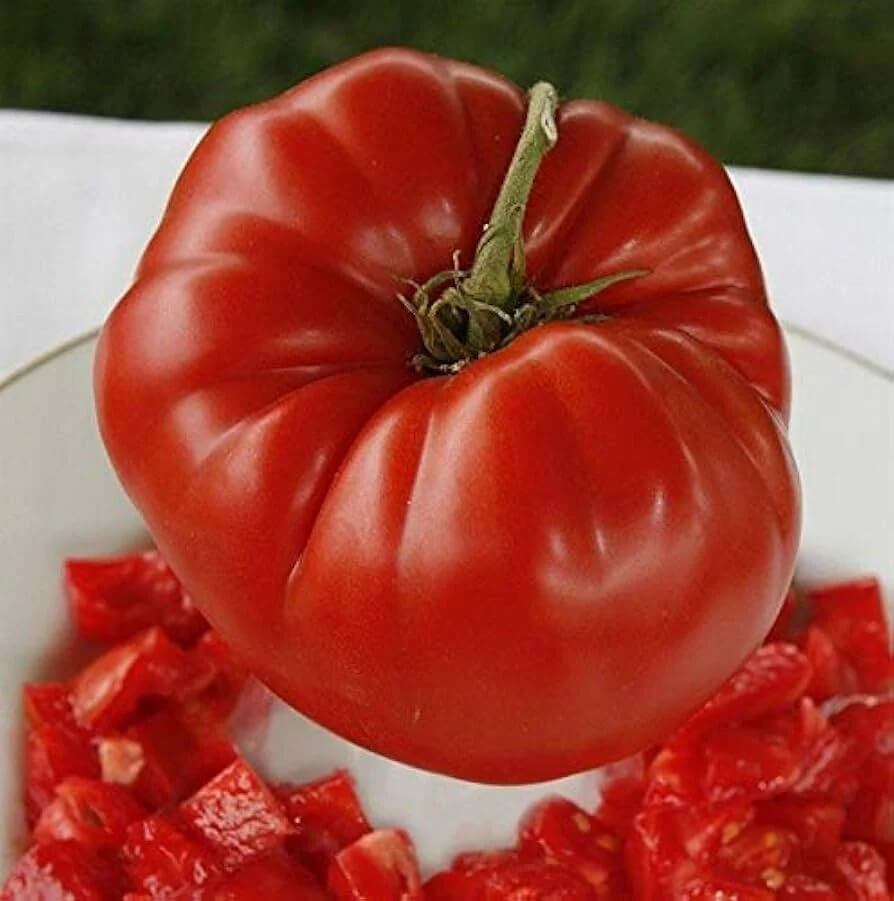 Tomato Seeds – Aussie Paste 