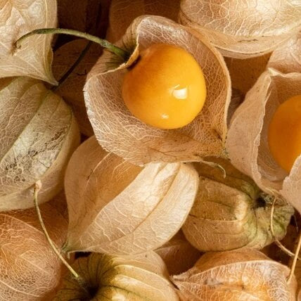 Tomatillo Seeds-Orange