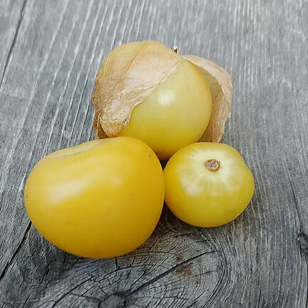 Tomatillo Seeds – Light Yellow