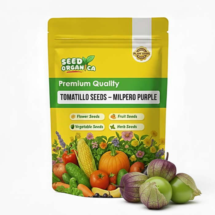 Tomatillo Seeds – Milpero Purple