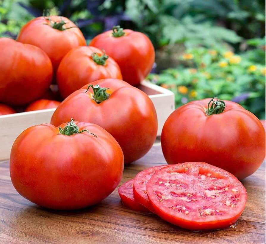 Tomato Seeds – Better Boy