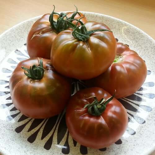 Tomato Seeds – Brown Giant