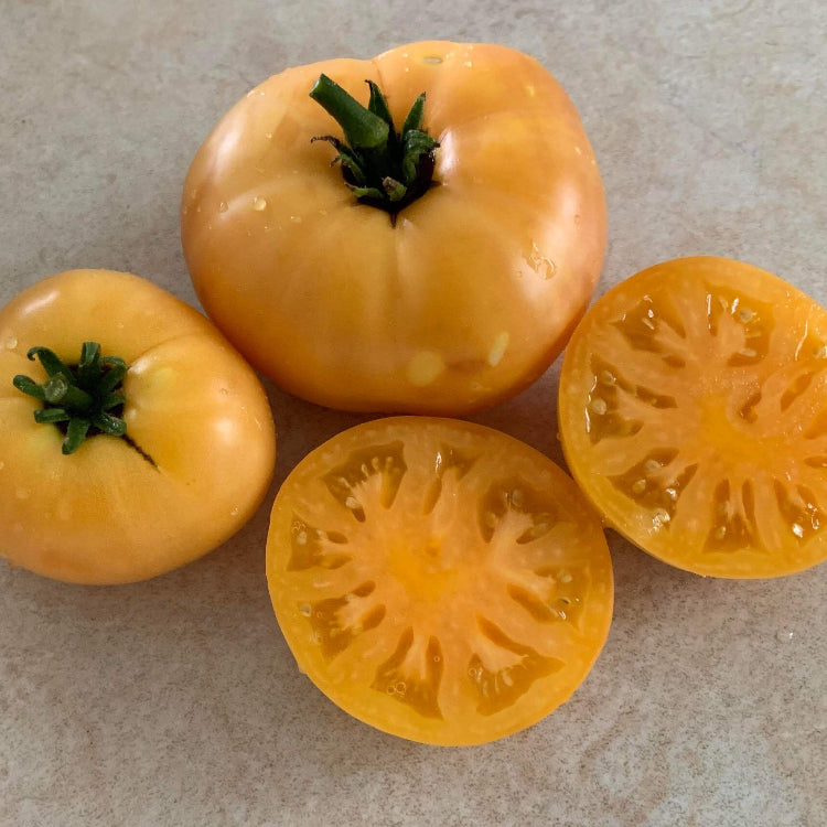 Tomato Seeds – Cream Orange