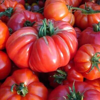 Tomato Seeds – German