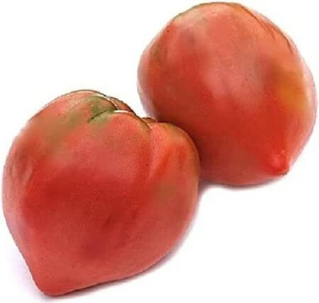 Tomato Seeds – Giant Red Oxheart