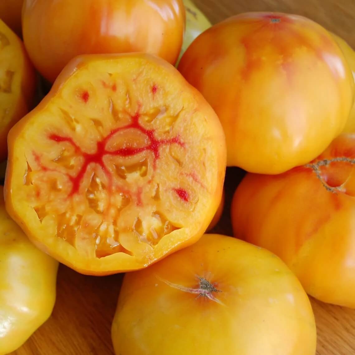 Tomato Seeds – Gold Medal Yellow 