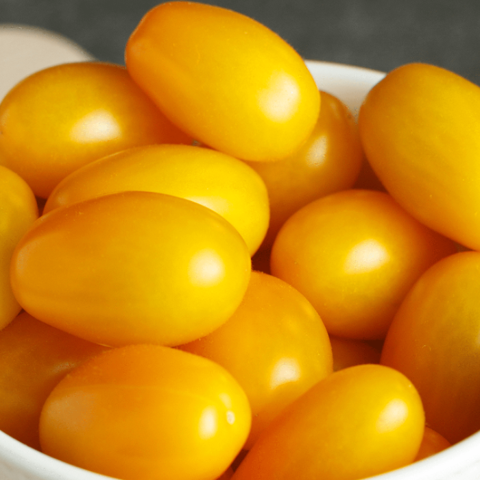 Tomato Seeds – Gold