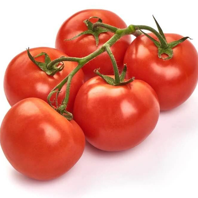 Tomato Seeds – Homestead