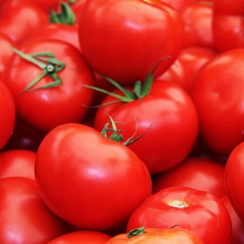 Tomato Seeds – Homestead