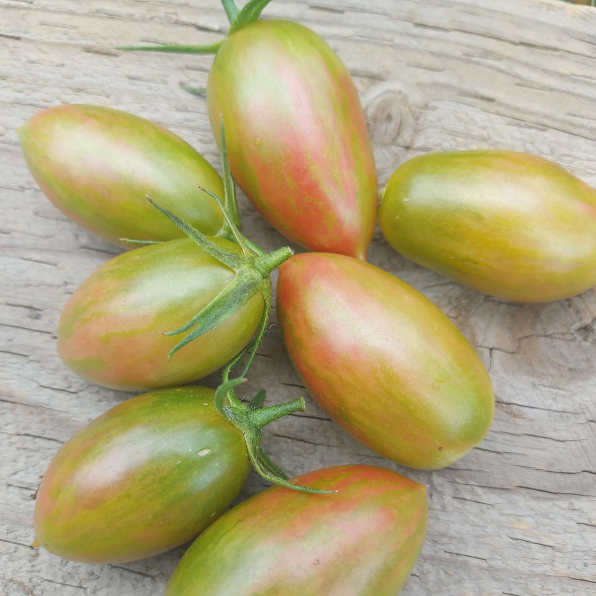 Tomato Seeds – Lucky Tiger