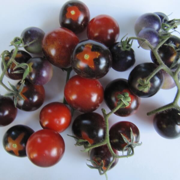 Tomato Seeds – Mixed Blueberries
