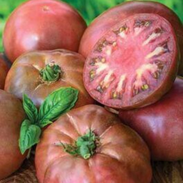 Tomato Seeds – Nut Brown
