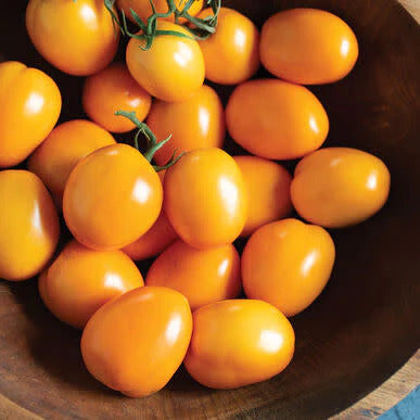 Tomato Seeds – Orange Roma