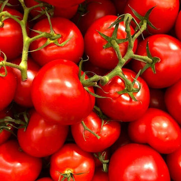 Tomato Seeds – Porter
