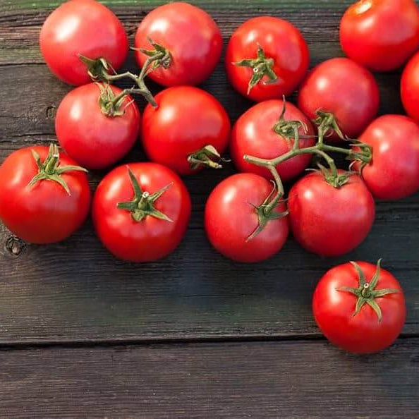 Tomato Seeds – Porter