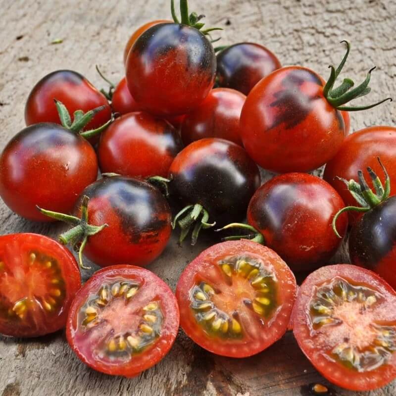 Tomato Seeds – Red Black