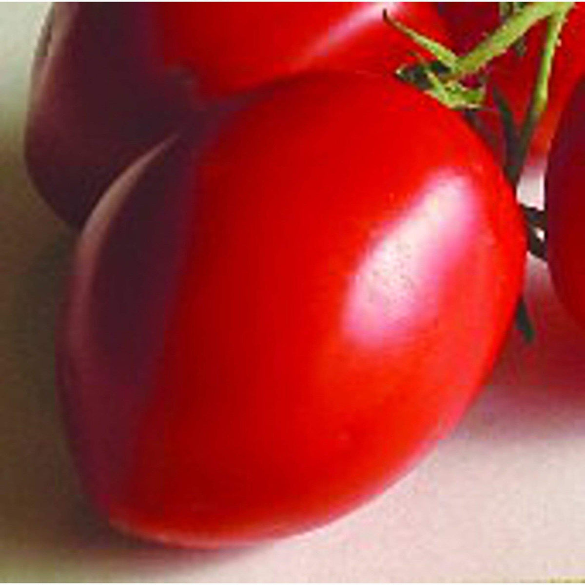 Tomato Seeds – Red Grushovka